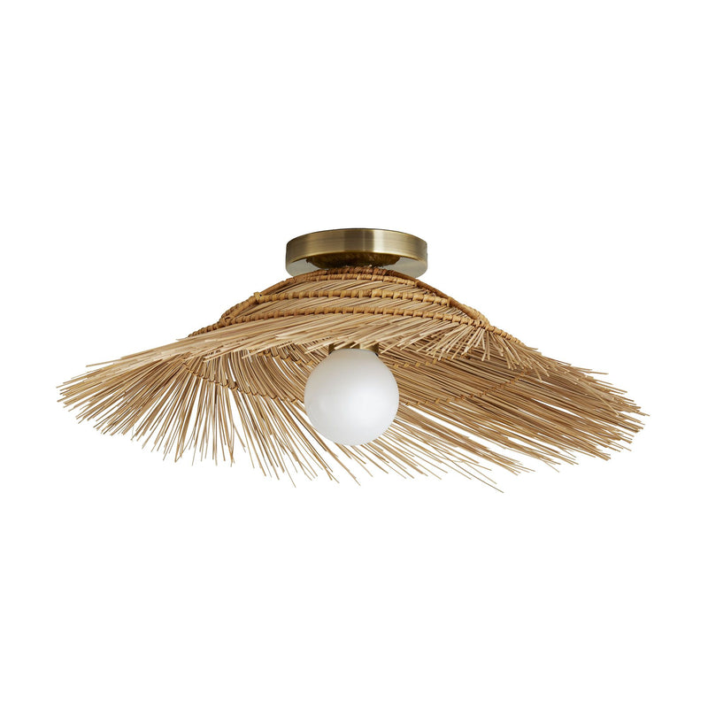 Hayes Sconce/ Ceiling Mount